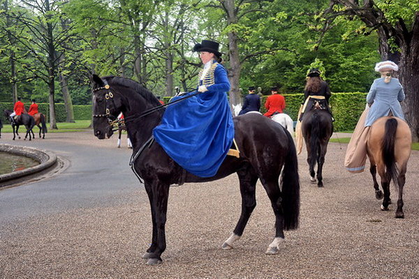 Kurfuerst   111.jpg